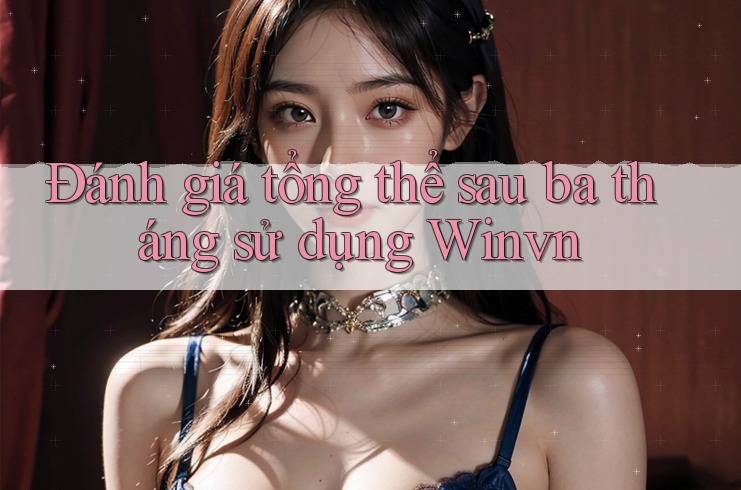 Đánh giá tổng thể sau ba tháng sử dụng Winvn