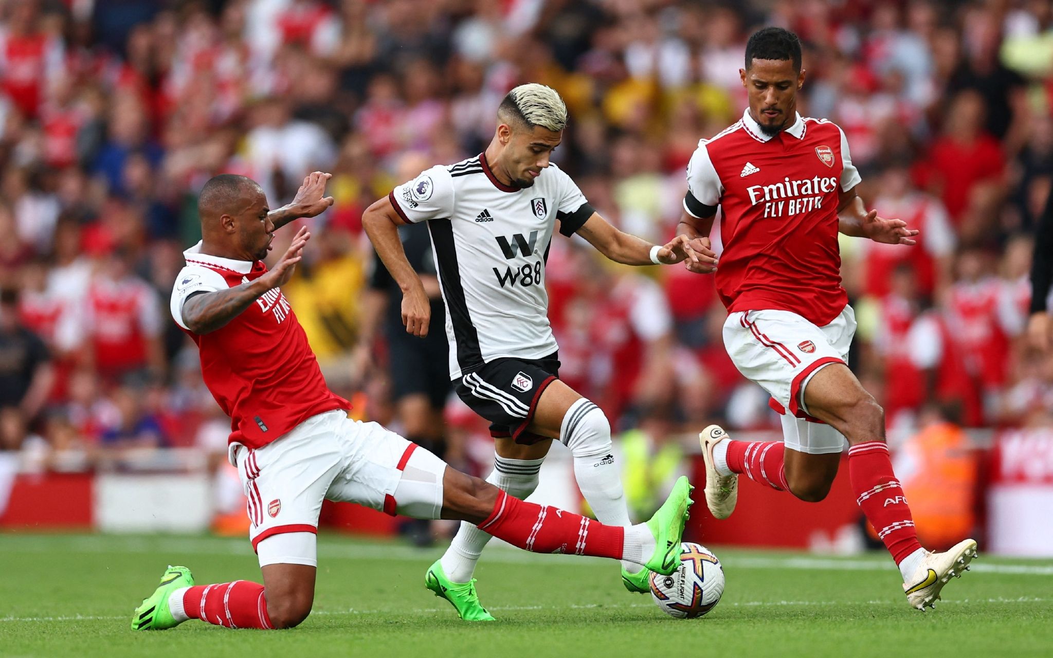 和冷静的杀 和冷静的杀